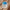 Image_7