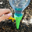Image_7