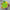 Image_7