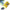 Image_1