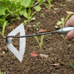 Image_1